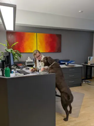 Mitarbeiterin am Schreibtisch mit einem Kanzleihund im Büro